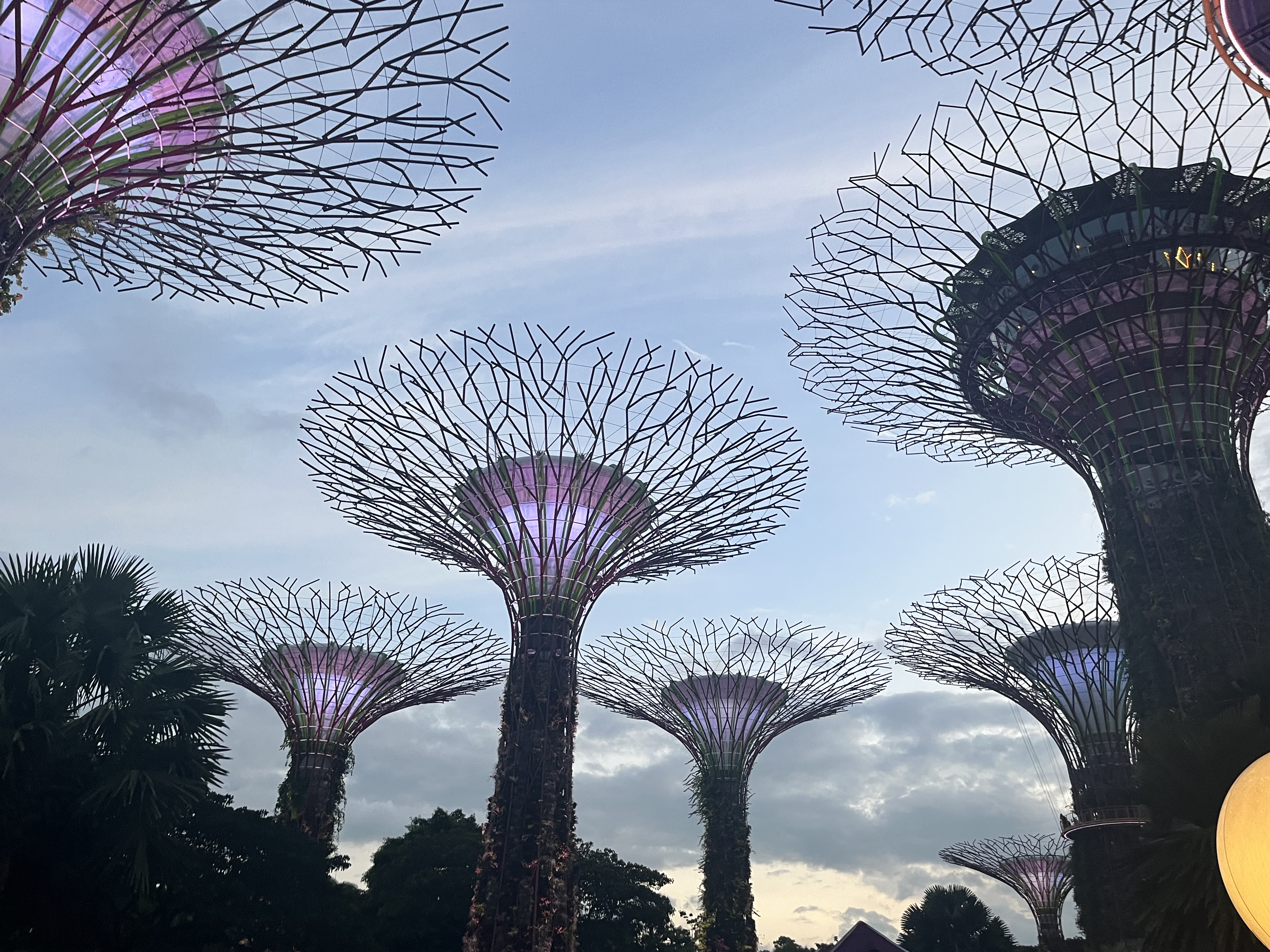 Garden of the Bay in Singapore, picture taken at dusk